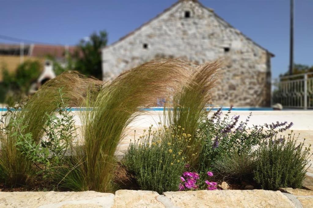 Stone House Kula Milica Villa Mala Cista Eksteriør bilde